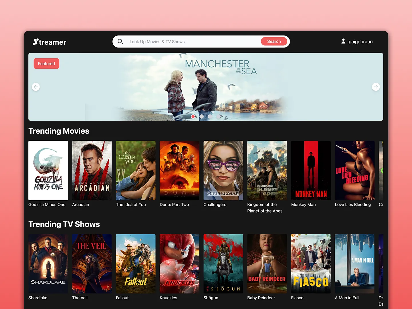 streamer screenshot 1
